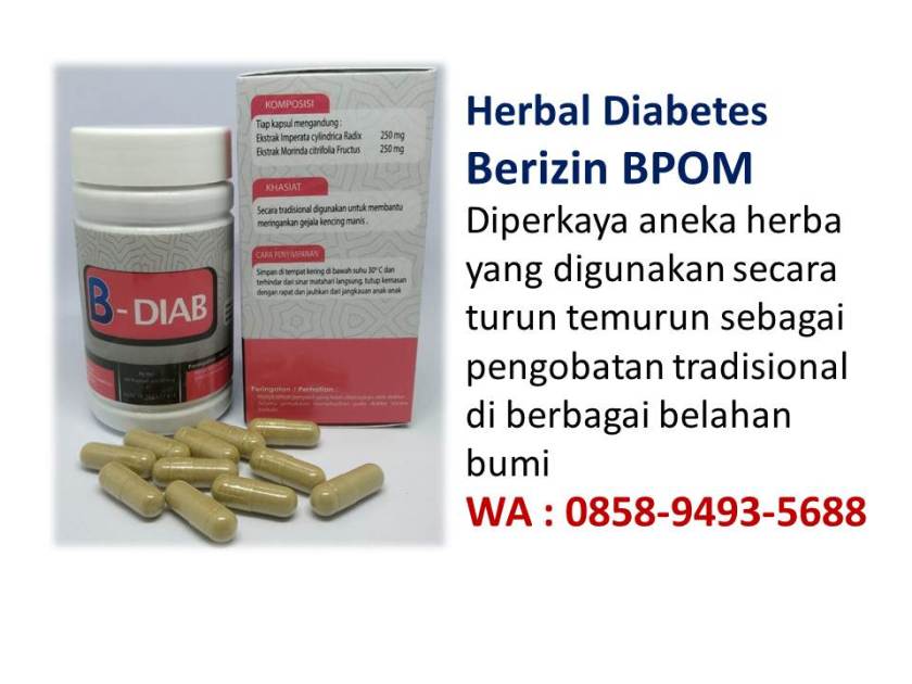 WA 0858-9493-5688 obat diabetes jamsi herbal alami bpom 